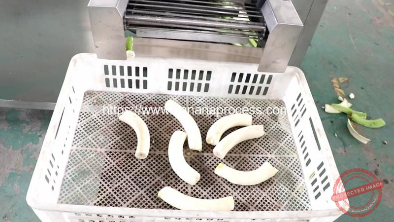 Auto-Feeding-Type-Green-Banana-Peeling-Machine-Peel-for-Peru-Customer